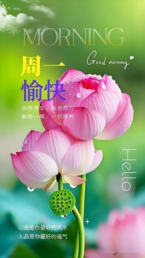 🍃꧂🌞早上好💕᭄🌿☕️
     🌈𝒢𝑜𝑜𝒹 𝓂𝑜𝓇𝓃