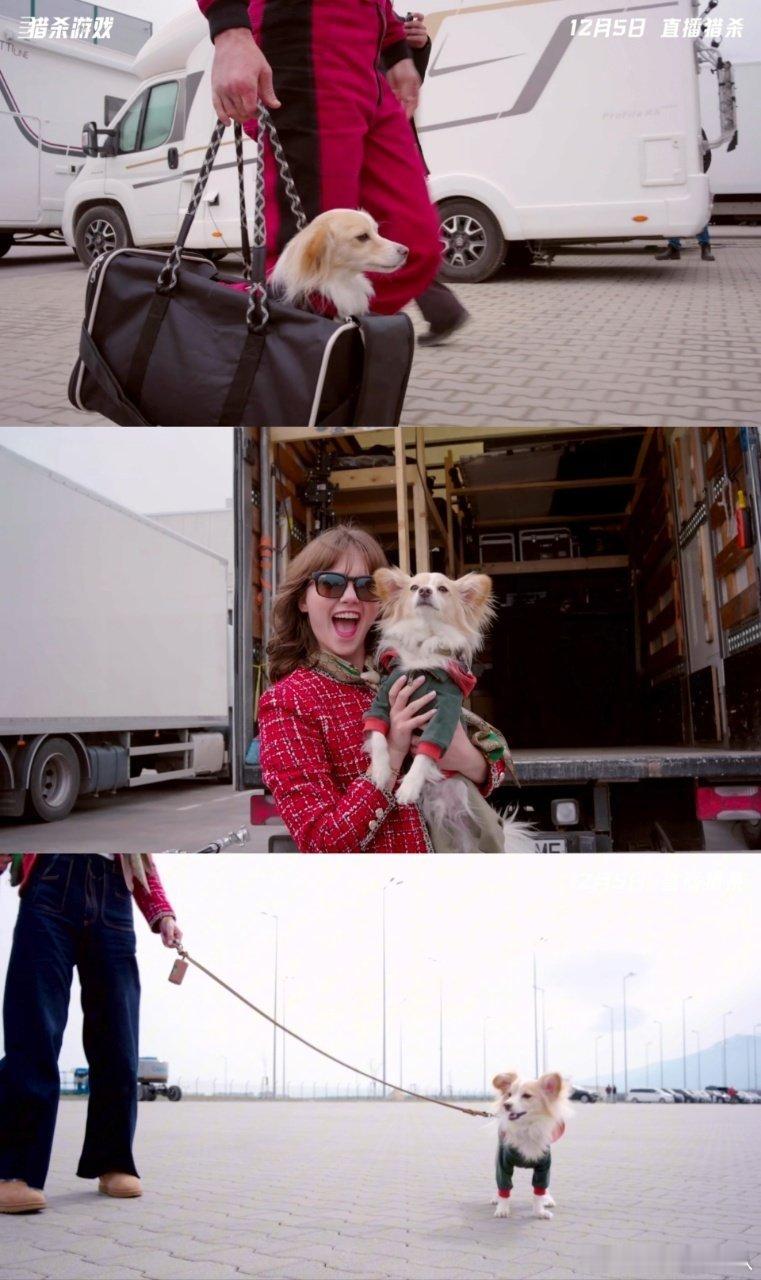 格伦·鲍威尔的反差魅力真的让人移不开眼！《猎杀游戏》里他是眼神锐利、气场超强的凌