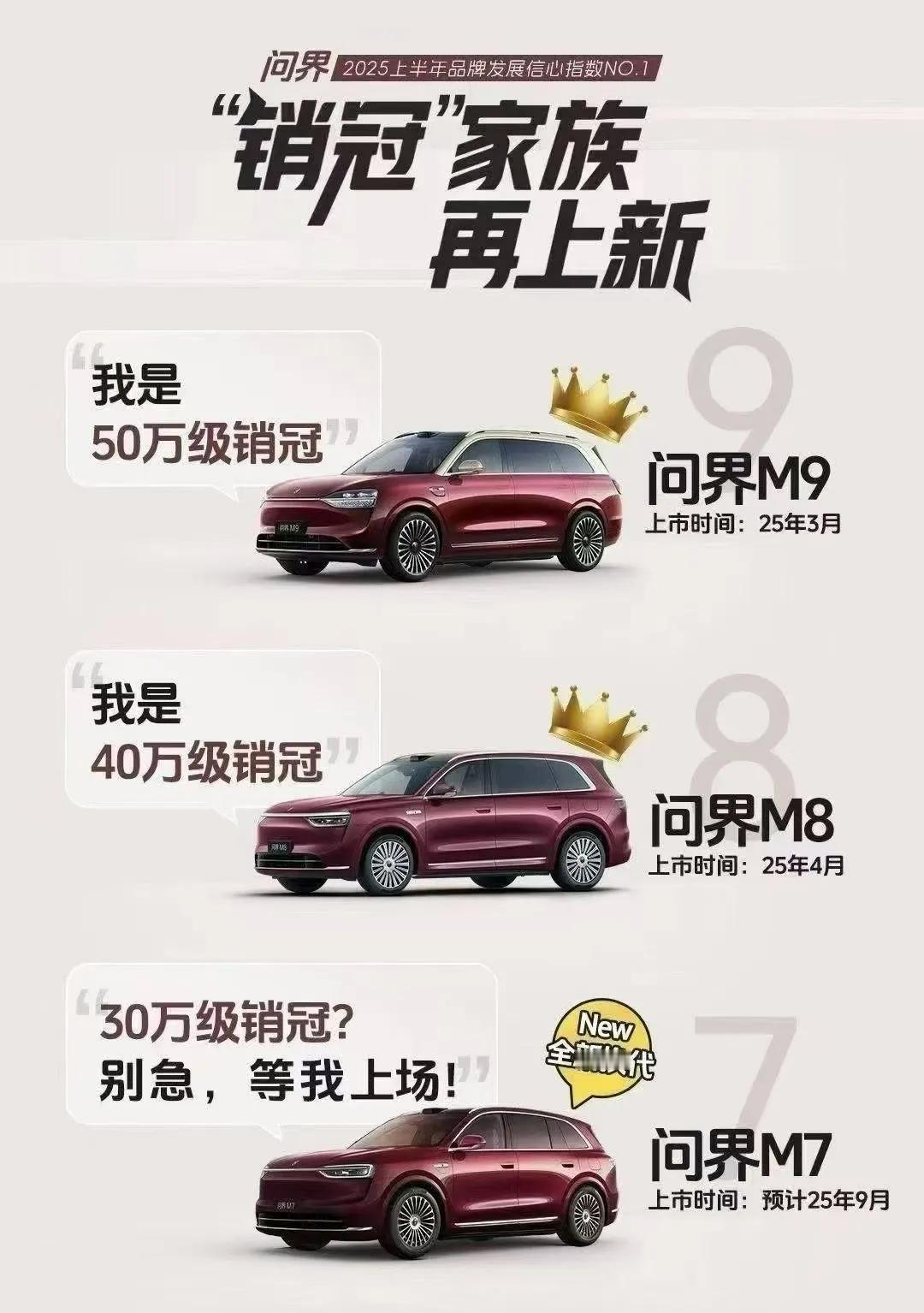 这张图对友商的伤害性不大，侮辱性极强，一把把BBA30几万到50几万一把干掉！原