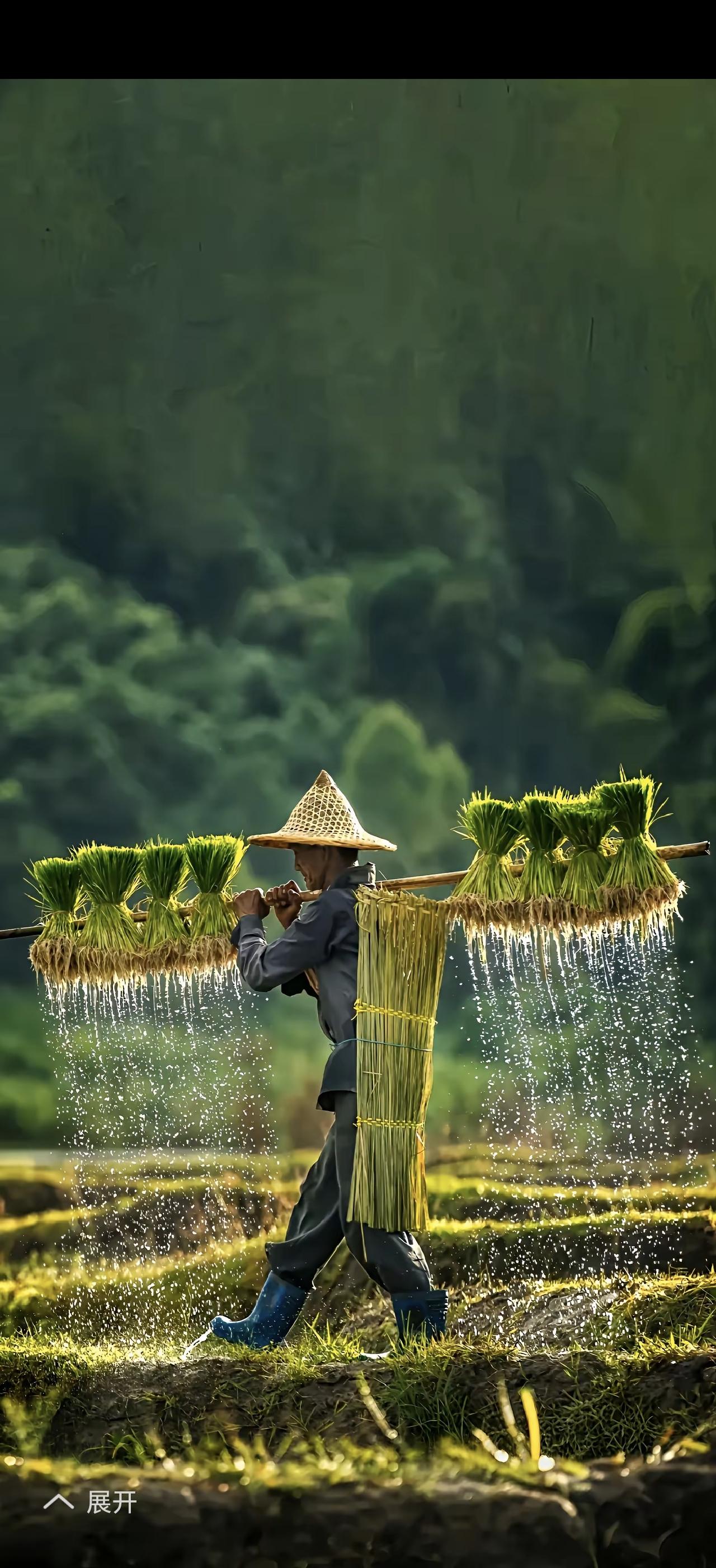 花开富贵飞黄腾达