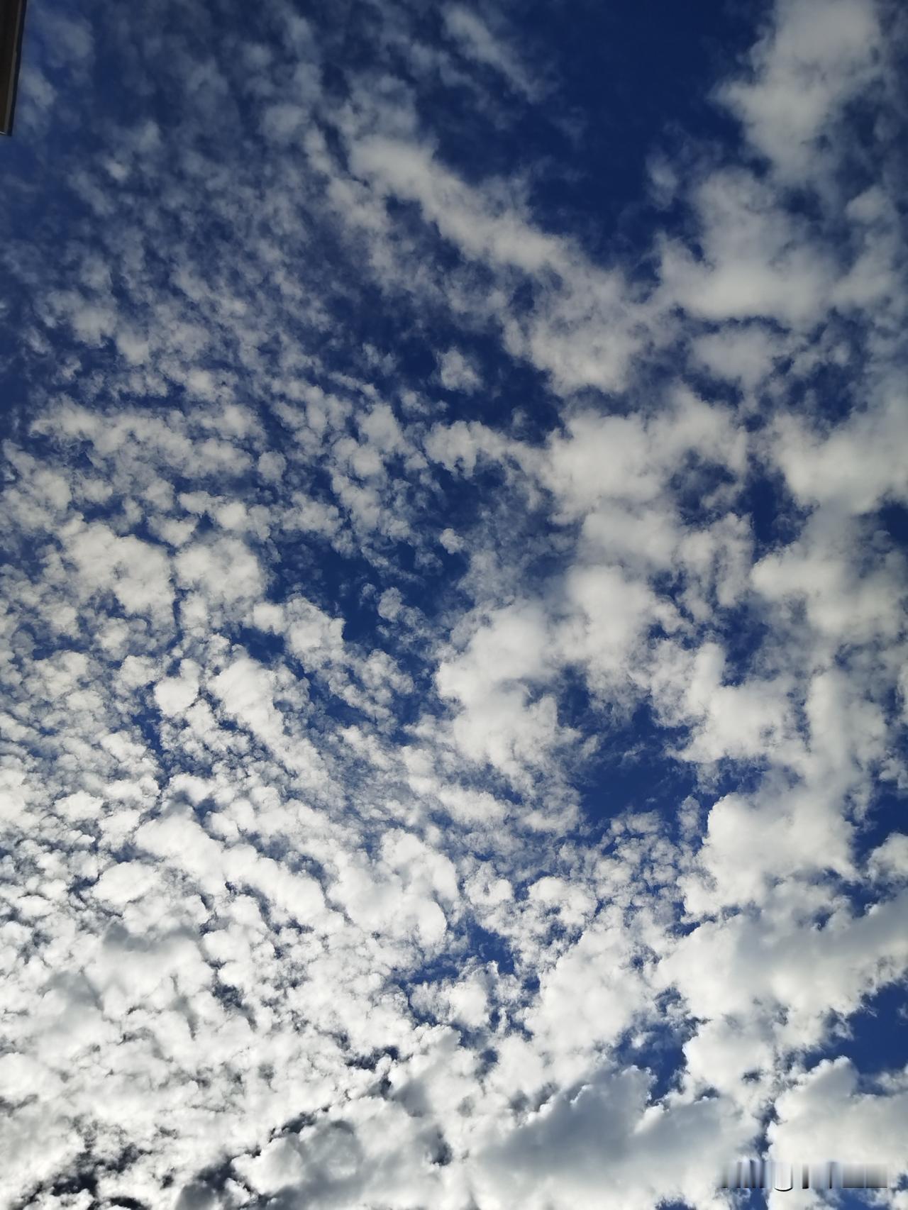 今天，又一次情绪升起。不过觉察到了这种情绪，开始梳理。
原来还是急躁惹的事儿，这