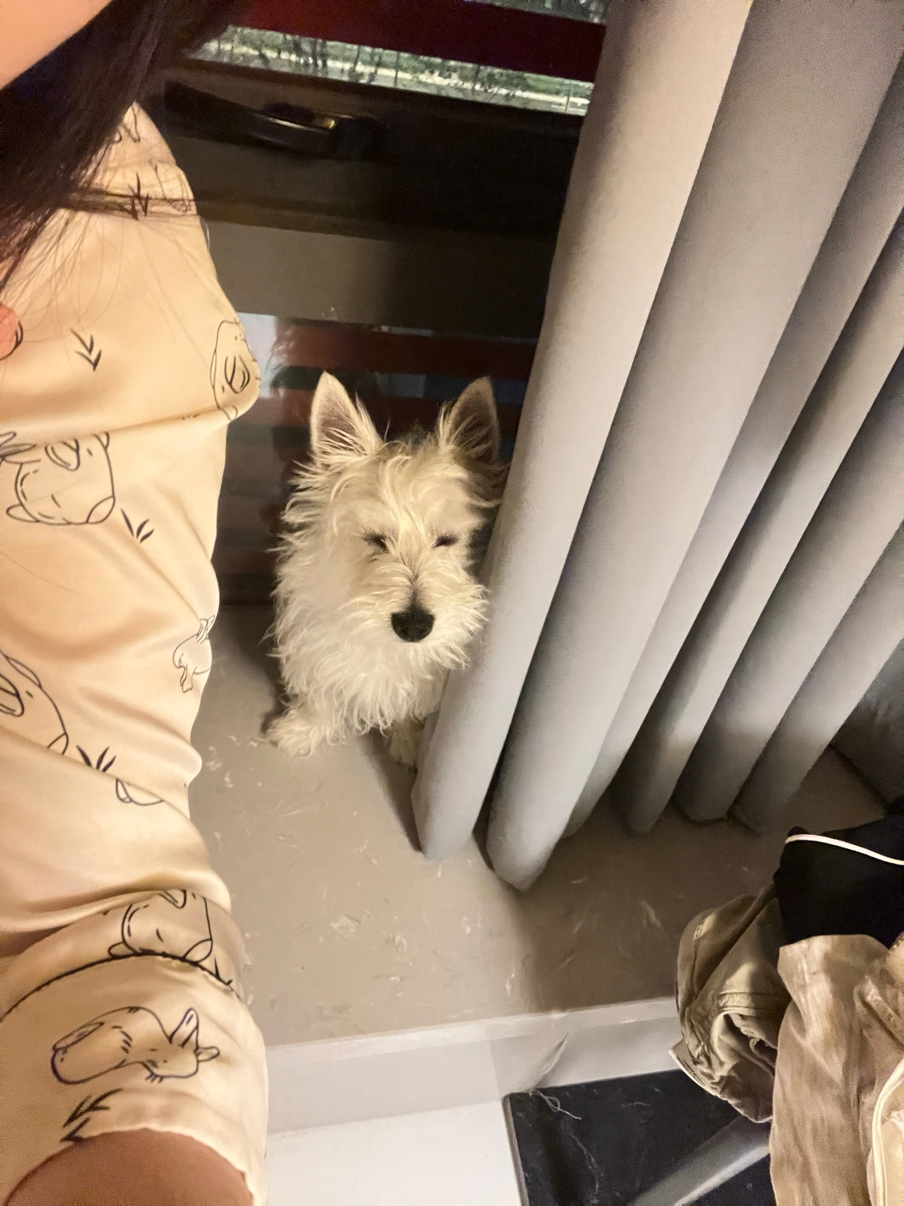 多老子🍯 ​​​