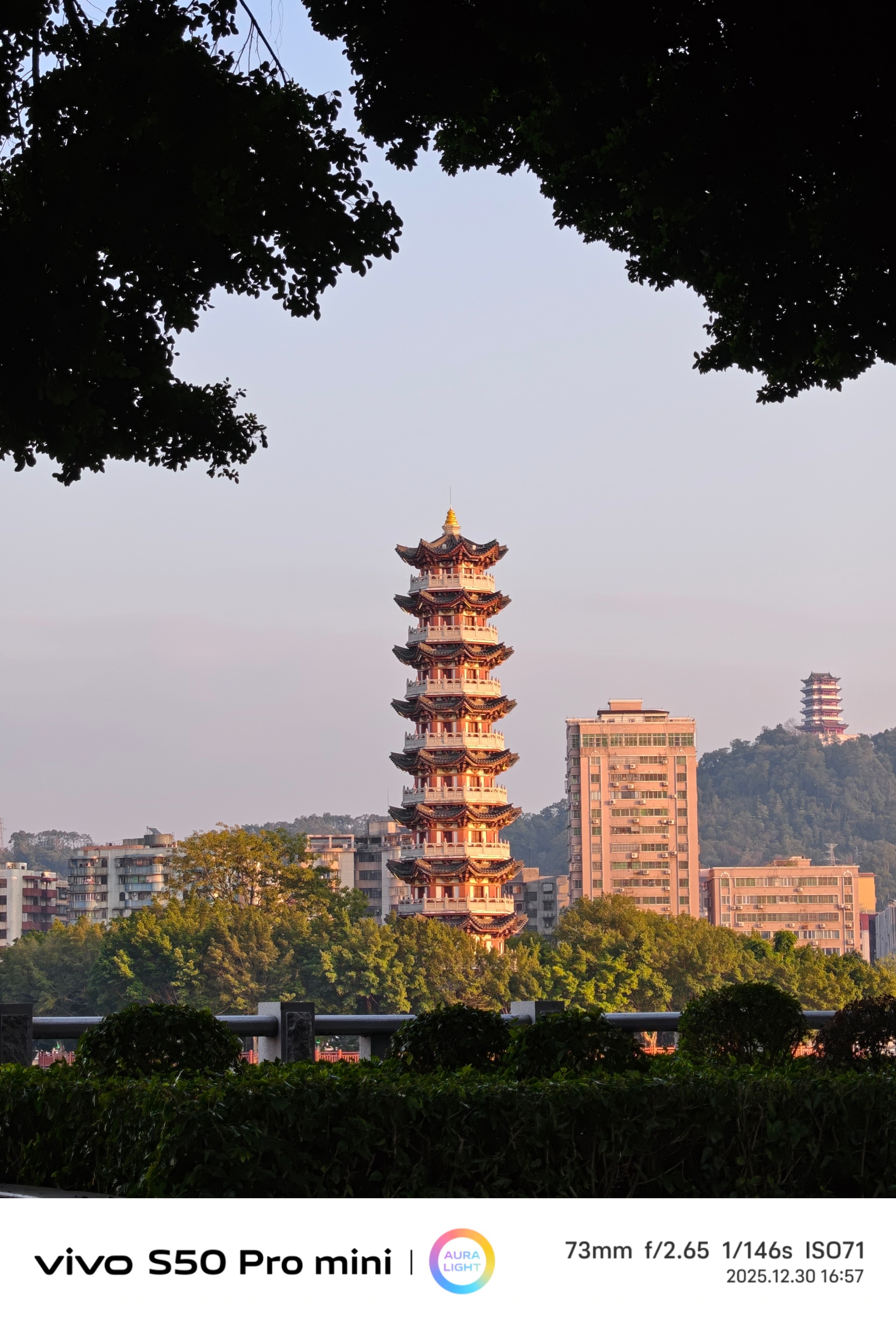 还别说vivo的S系列旗舰拍照确实可以上手手感一级棒