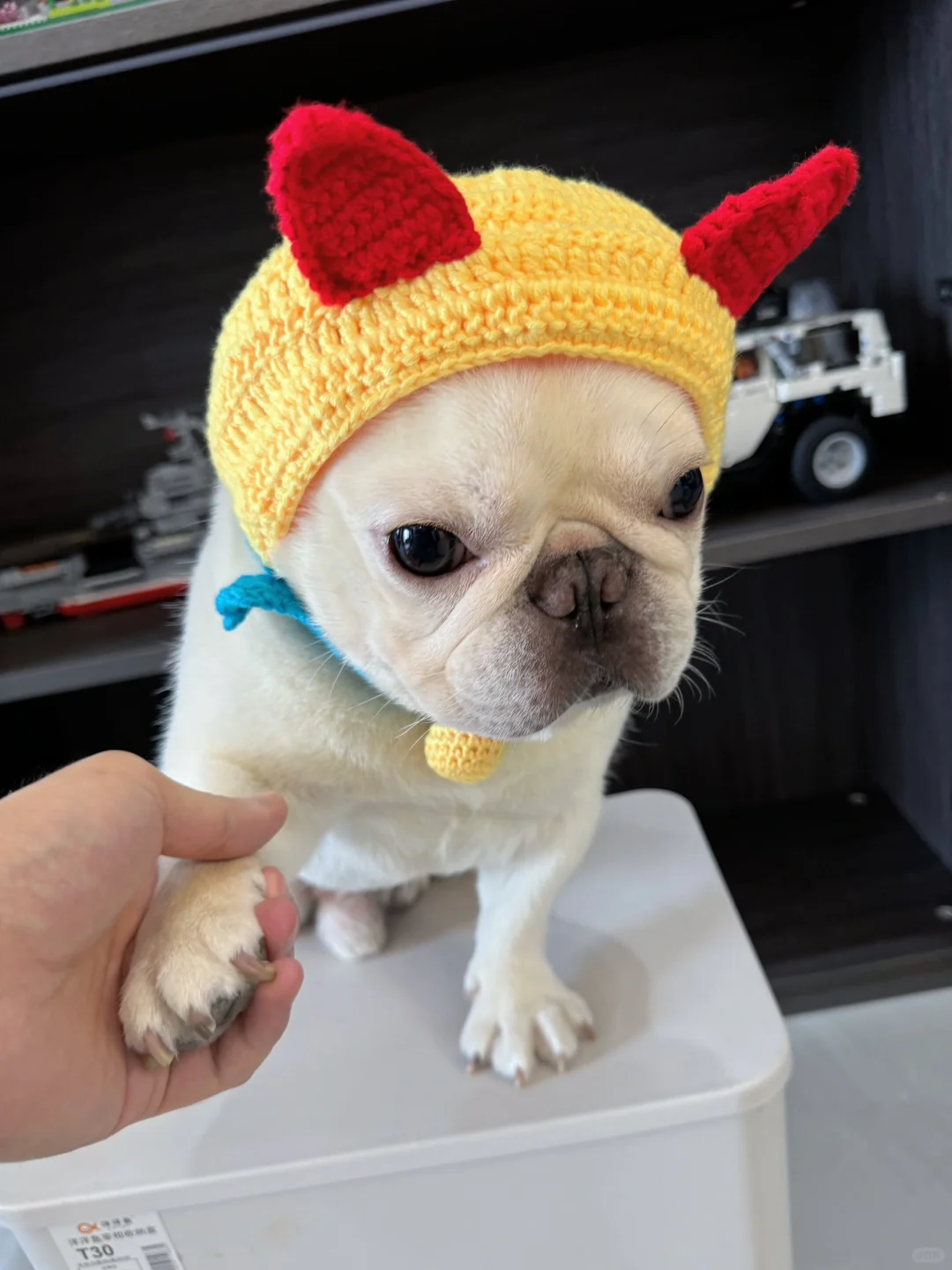 假如我有仙女棒 变大变小变漂亮