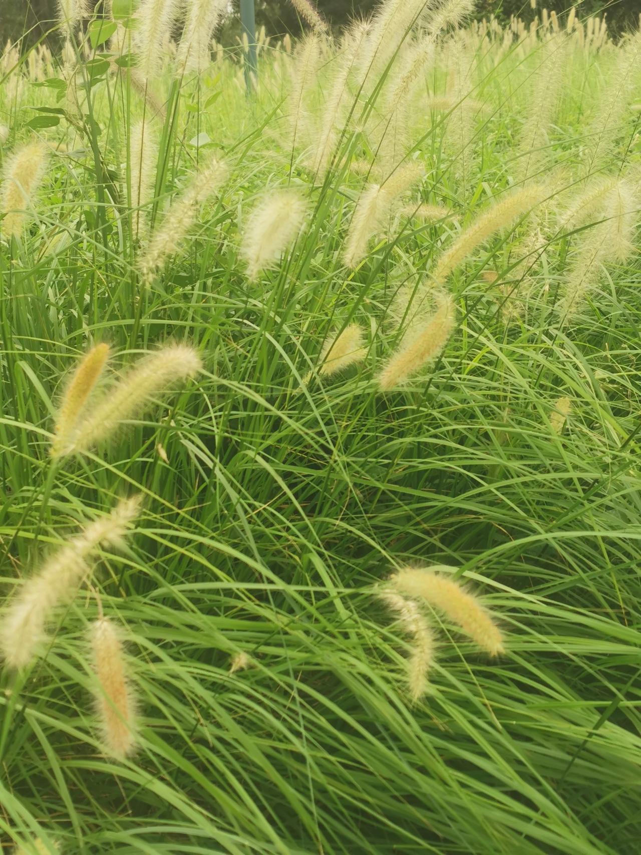 要控制自己的情绪，冲动解决不了问题

人有的时候容易失态，不容易控制自己的情绪。