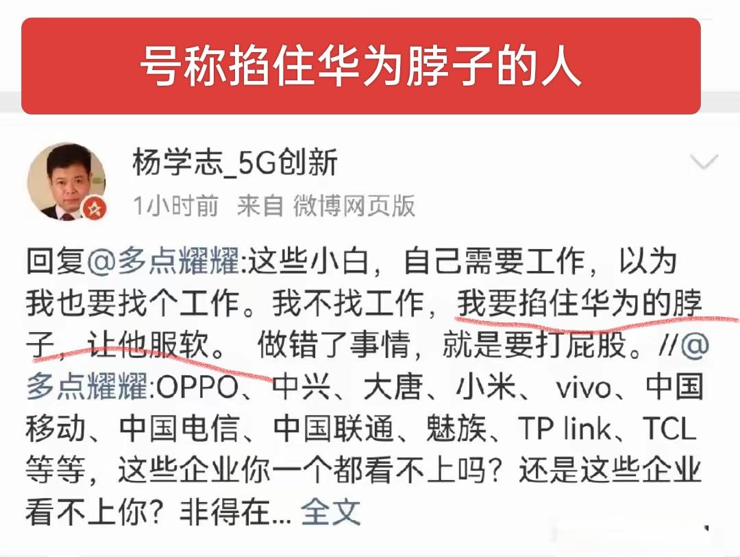我滴个天呀！一个被华为开除的人，号称自己是能掐住华为脖子，能让华为服软！真服了这