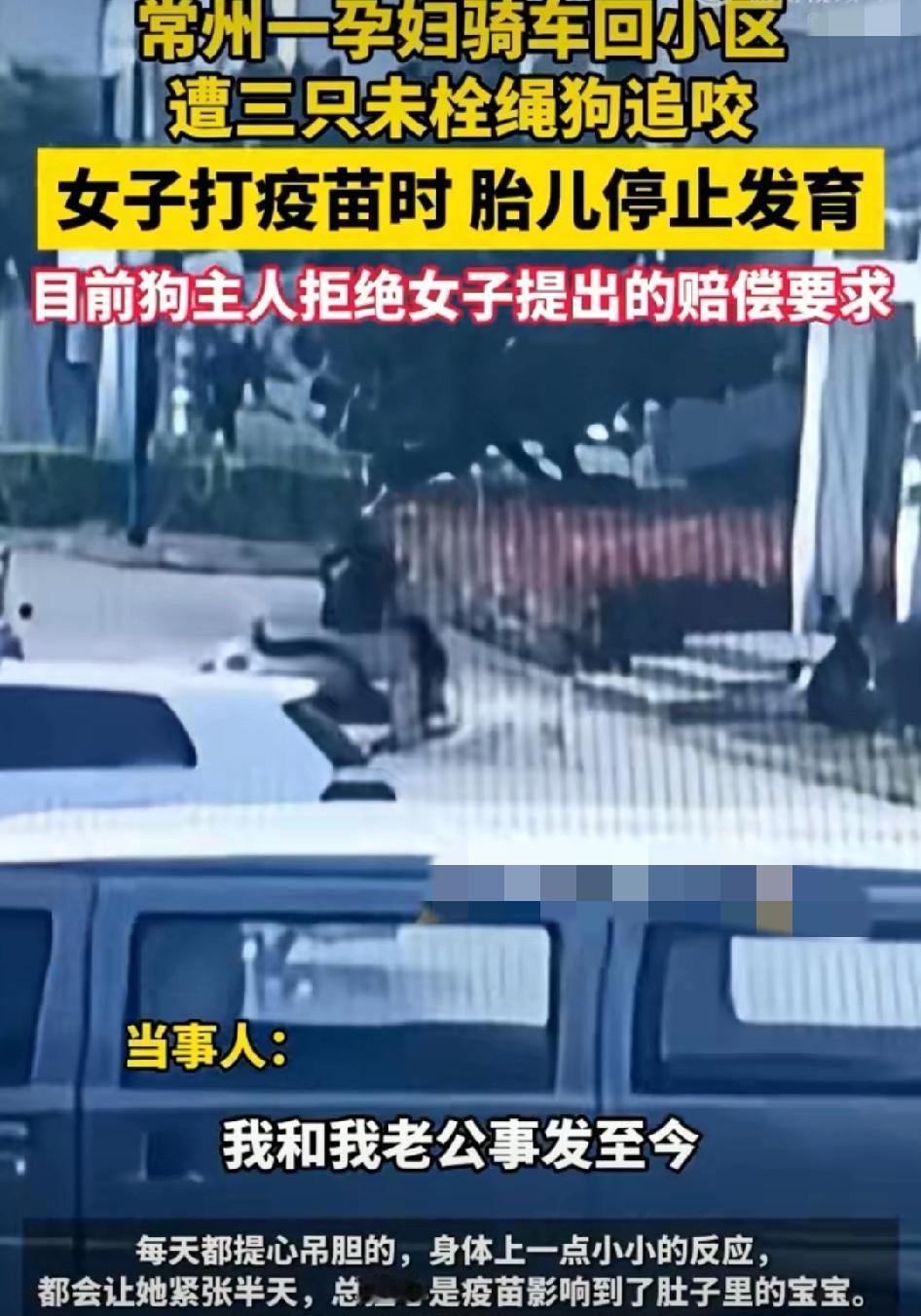 一孕妇骑电动车
正常行驶中
被未拴绳的三只宠物狗
其中两只是大狗一只是小狗，追咬