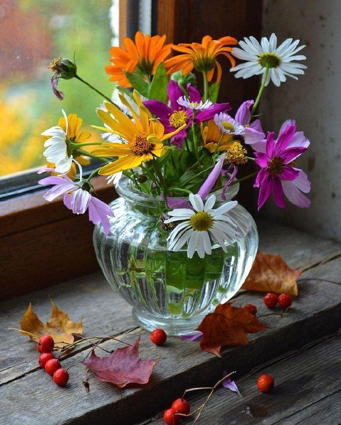 前些日子我把妈妈接来住了一阵子，本以为是温馨的陪伴，没成想却成了彼此的“负担”。