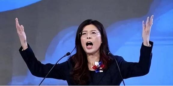 台湾蓝营终于摊牌了！郑丽文公开拒绝“一国两制”，不再模糊回避。

这记重拳打向何