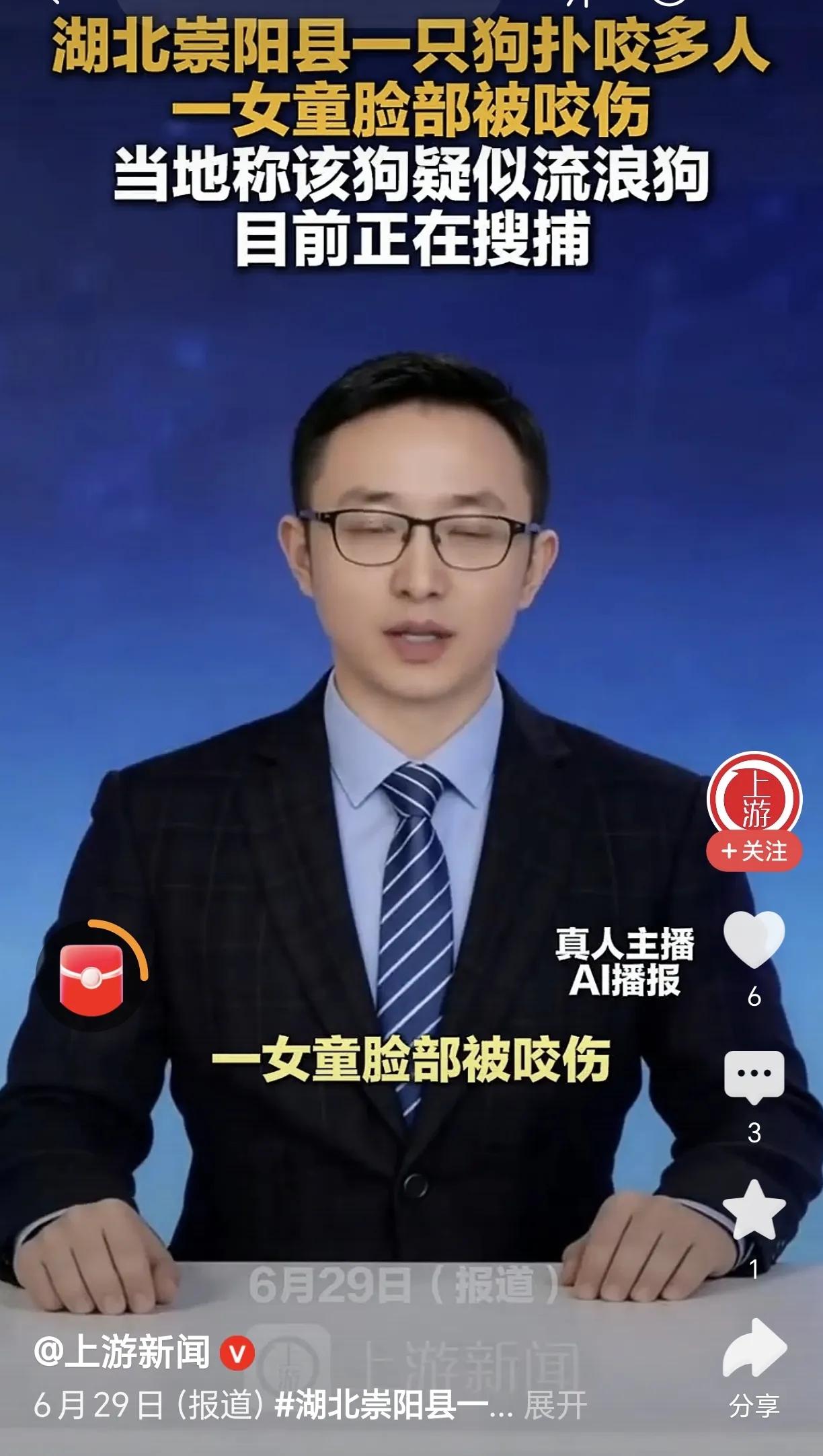 大力发展宠物经济、建设宠物友好型社会……真的不想再听到这类口号了。各地恶犬伤人事