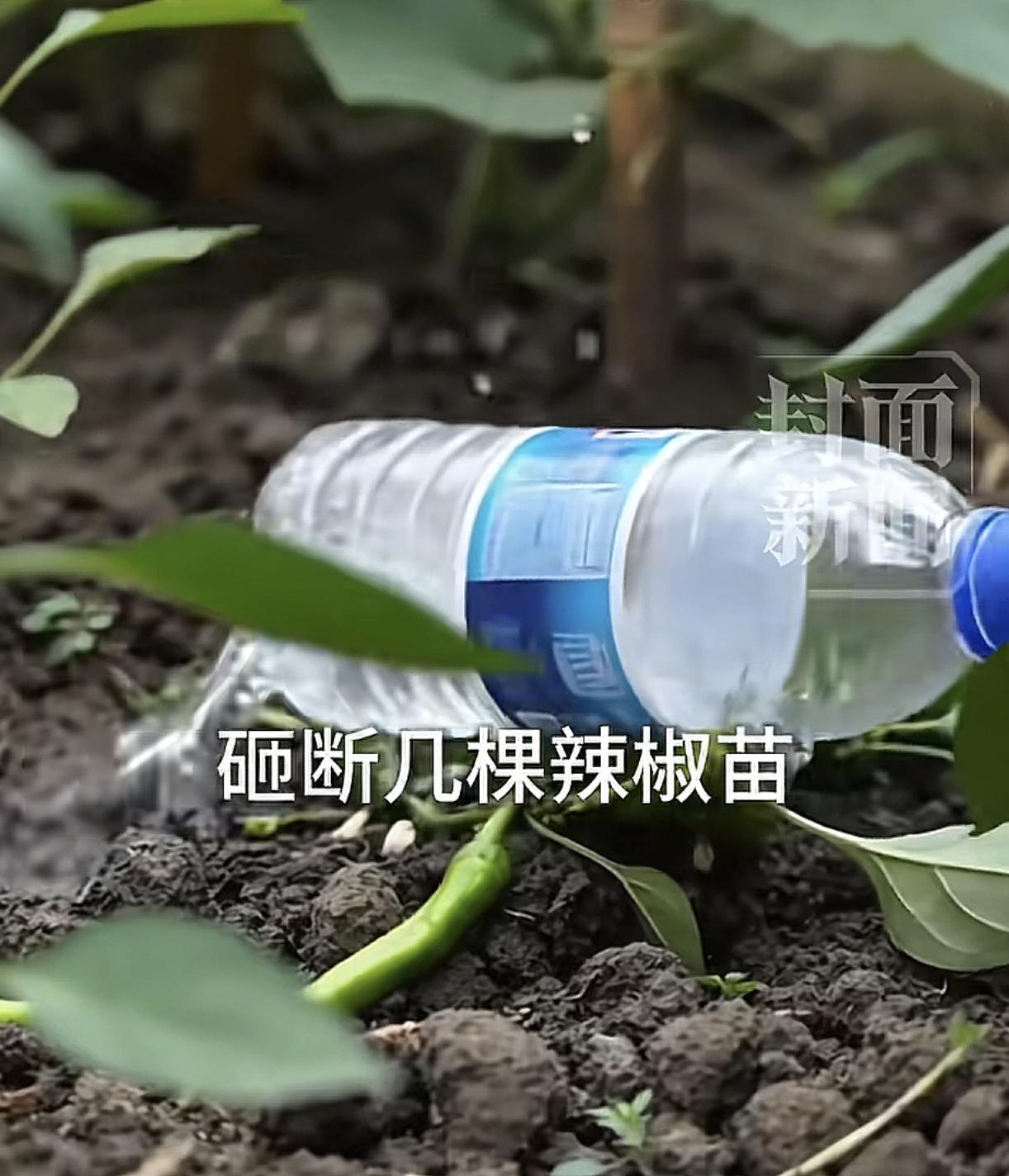 看过高空坠物砸伤人要赔偿的，
也见过高空坠物砸坏物品要赔偿的，
头一次听说高空坠