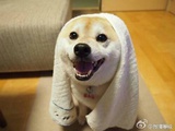 鸽墩热聚汽车