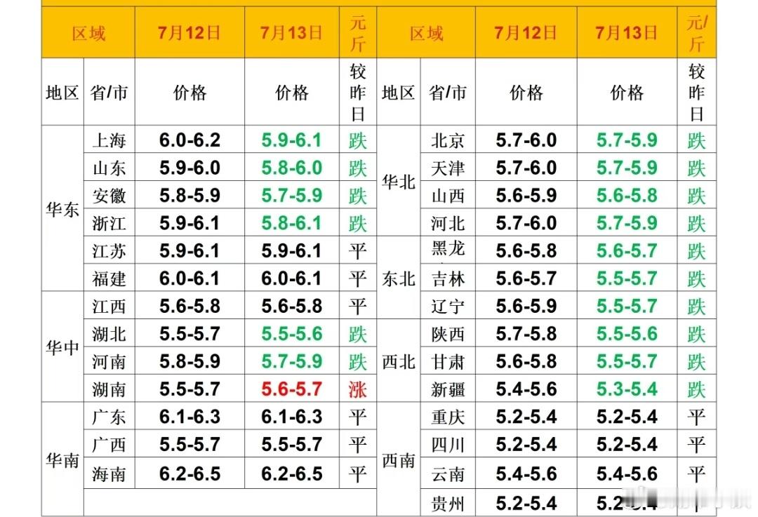 每日猪价 
