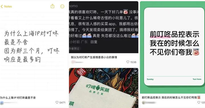 叮咚买菜被收购全网炸锅“求新东家对它好一点”，一个卖菜的咋成打工人独一无二「白月光」？