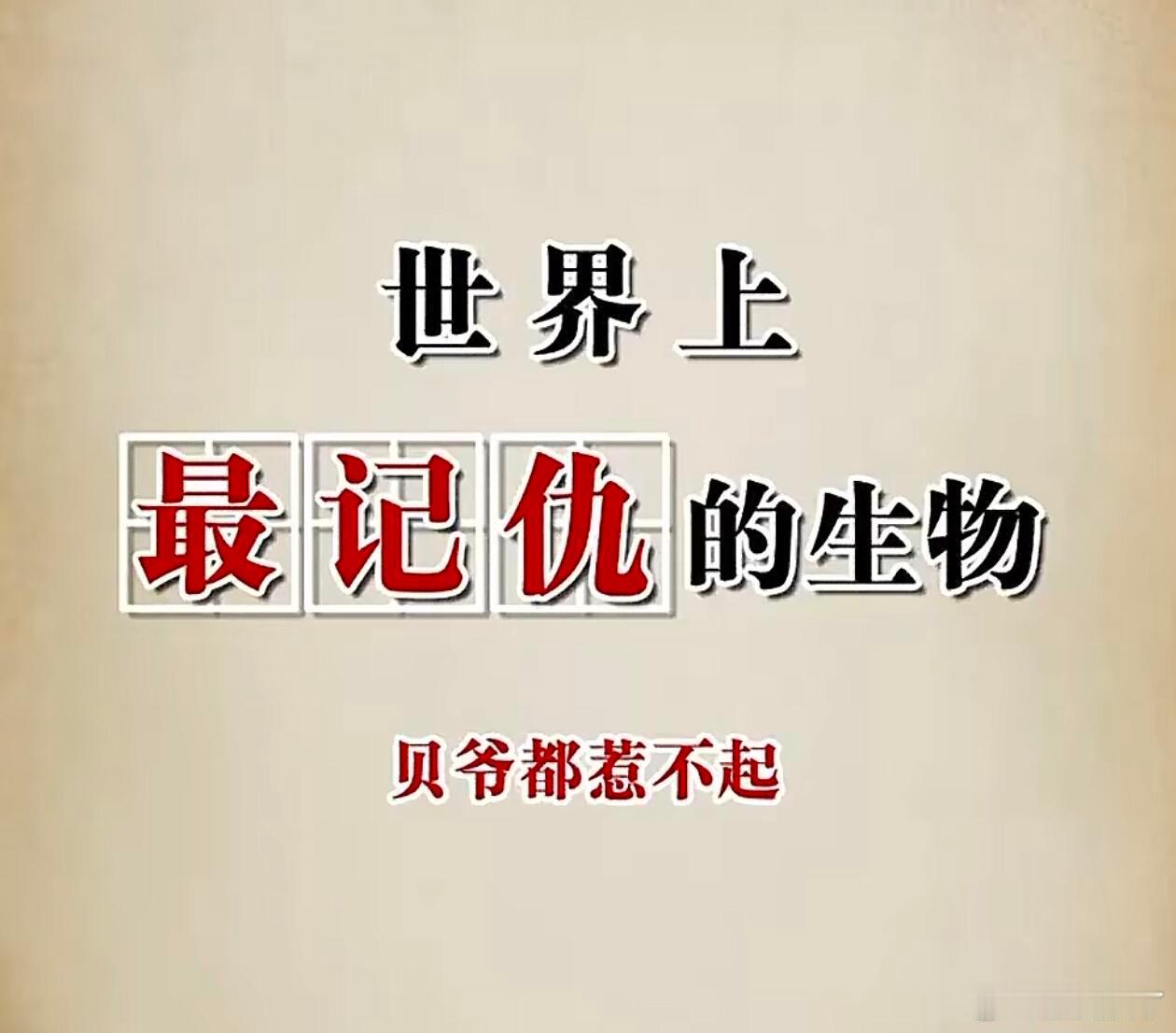 世界上最记仇的5种生物   第五名乌鸦，它很聪明并且对人脸有很好的记忆力，在受到