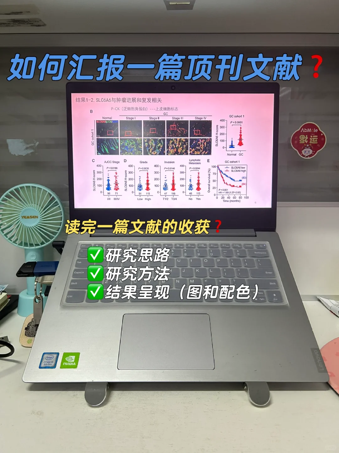 如何阅读➕汇报一篇顶刊文献❓