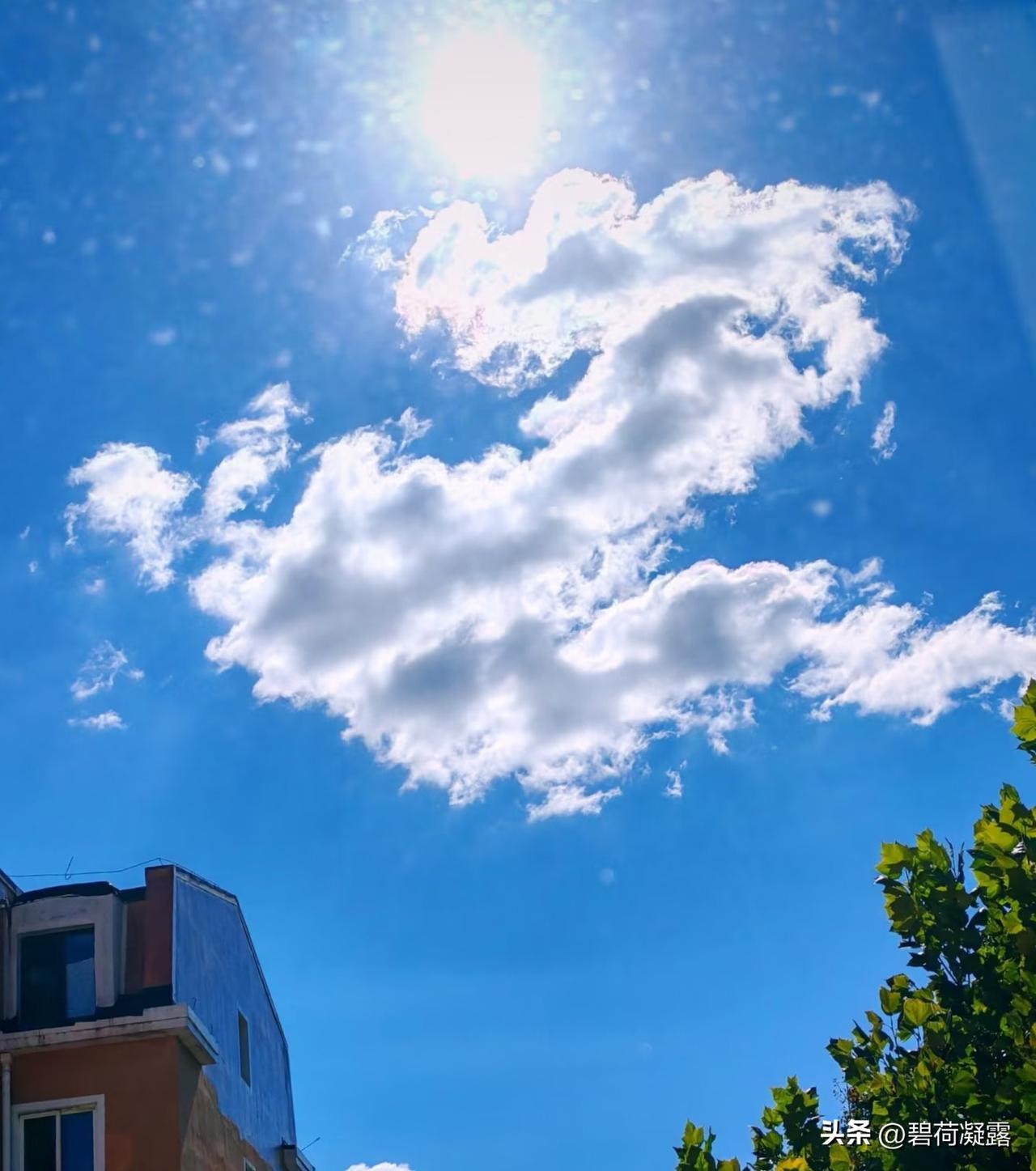 很喜欢自拍的这张照片，寓意美好，飞龙在天！分享大家欣赏。