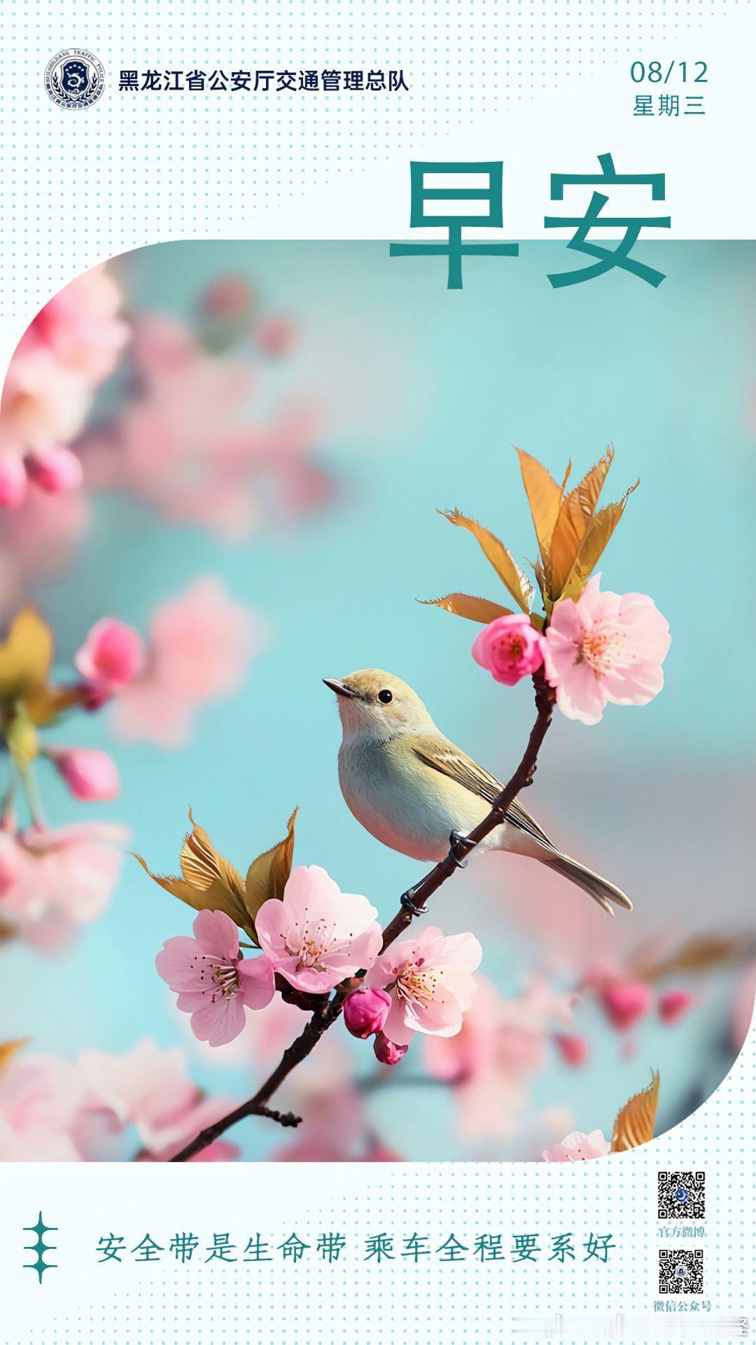 早安 安全带是生命带，乘车全程要系好。早安早安高小黑蜀黍的早安提示 （