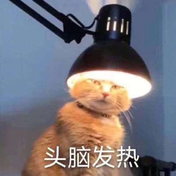 有趣的表情包增加了 ๑•̌.•̑๑ #表情包# ​​​