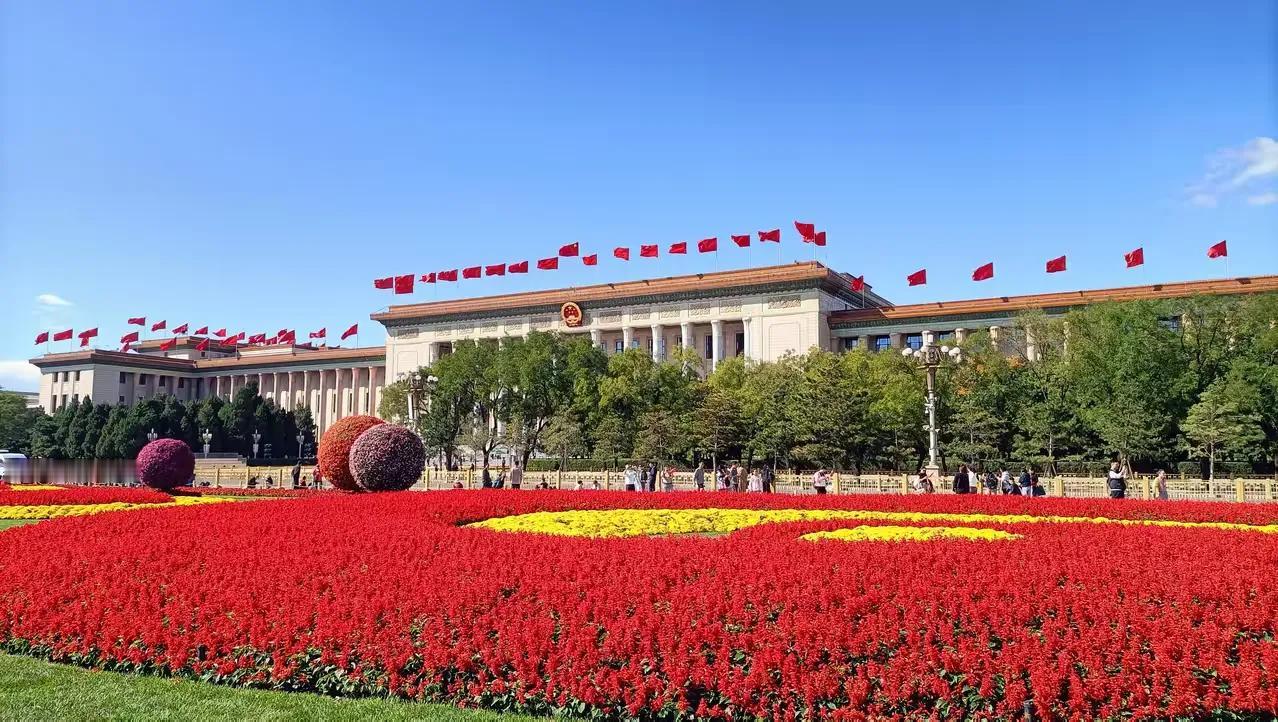 帮我点评