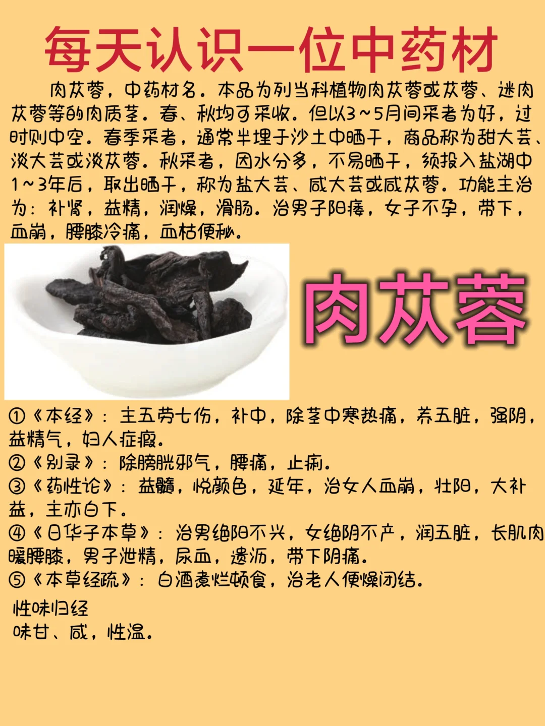 每天认识一位中药材-肉苁蓉