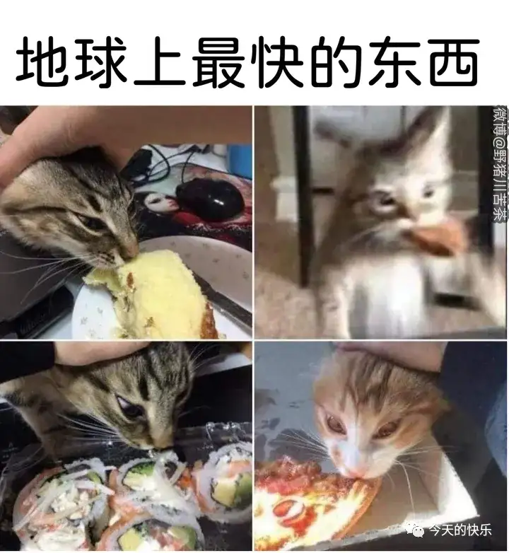 <img src=