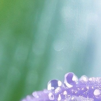 真正决定一个人成就的也不是运气，而是严格的自律和高强度的付出成功的秘密，根本就不