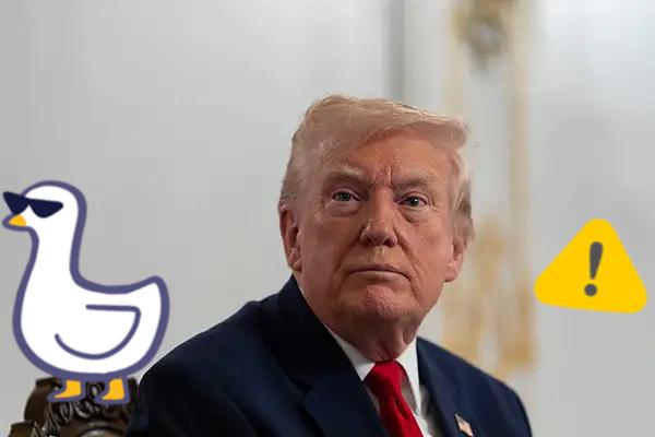 美国最新消息！
当地时间3日，美国总统特朗普表示，要么美墨加协定到期失效，要么与