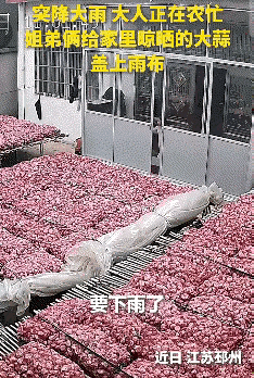 上人民日报了。
近日，江苏两个小孩立大功了，他们的举动，直接让全网都竖起了大拇指