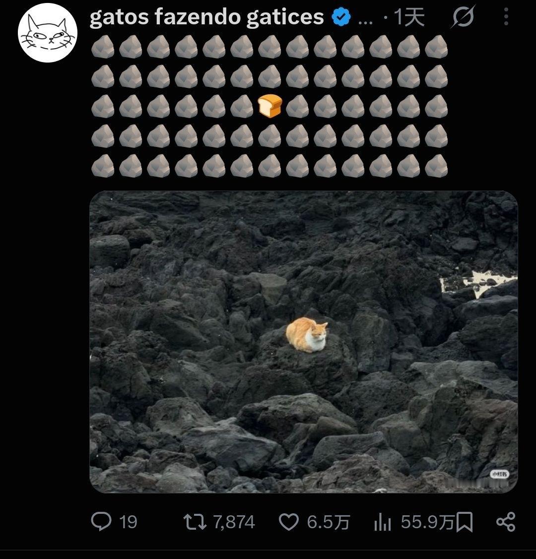 🪨🪨🪨🪨🪨🪨🪨🪨🪨🪨🪨🪨🪨🪨🪨🪨🪨🪨🪨🪨