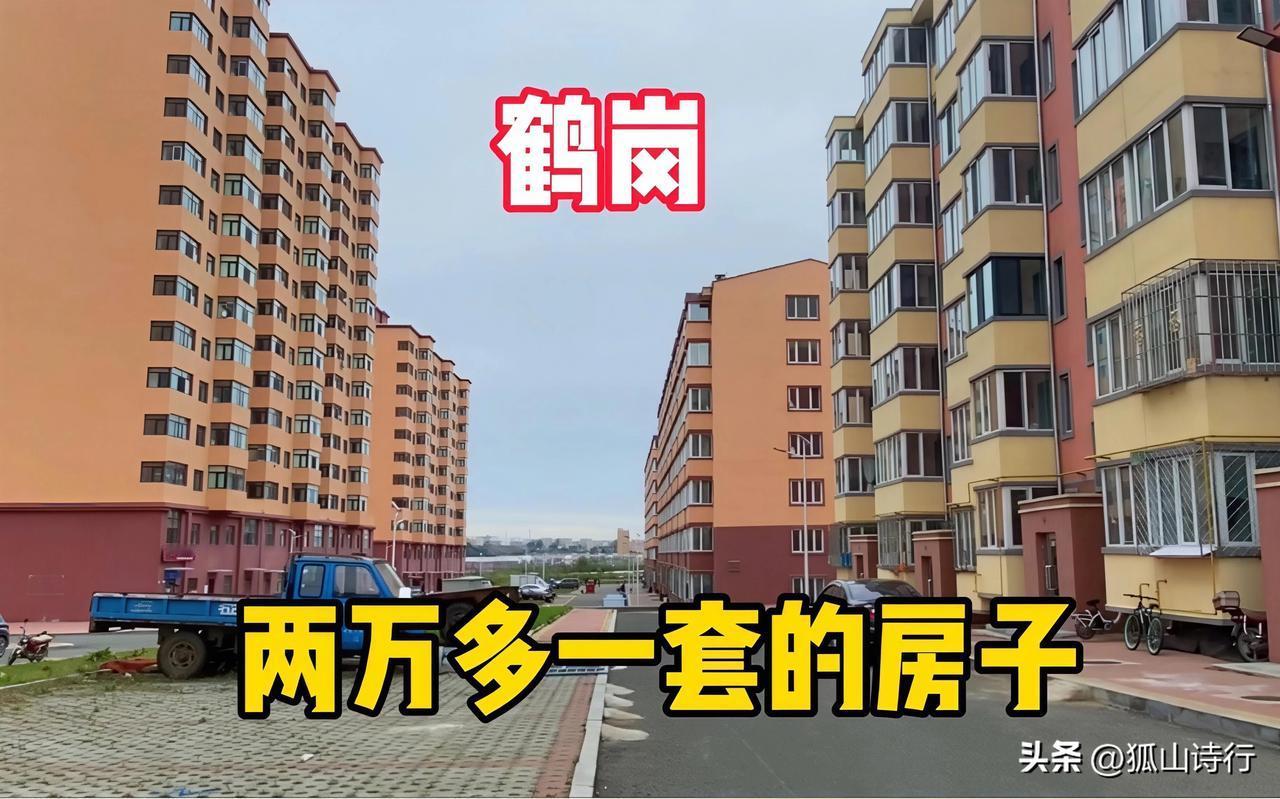 “第一批在鹤岗买房的人开始撤离”的现象，并非简单的投机失败，而是资源型城市收缩与