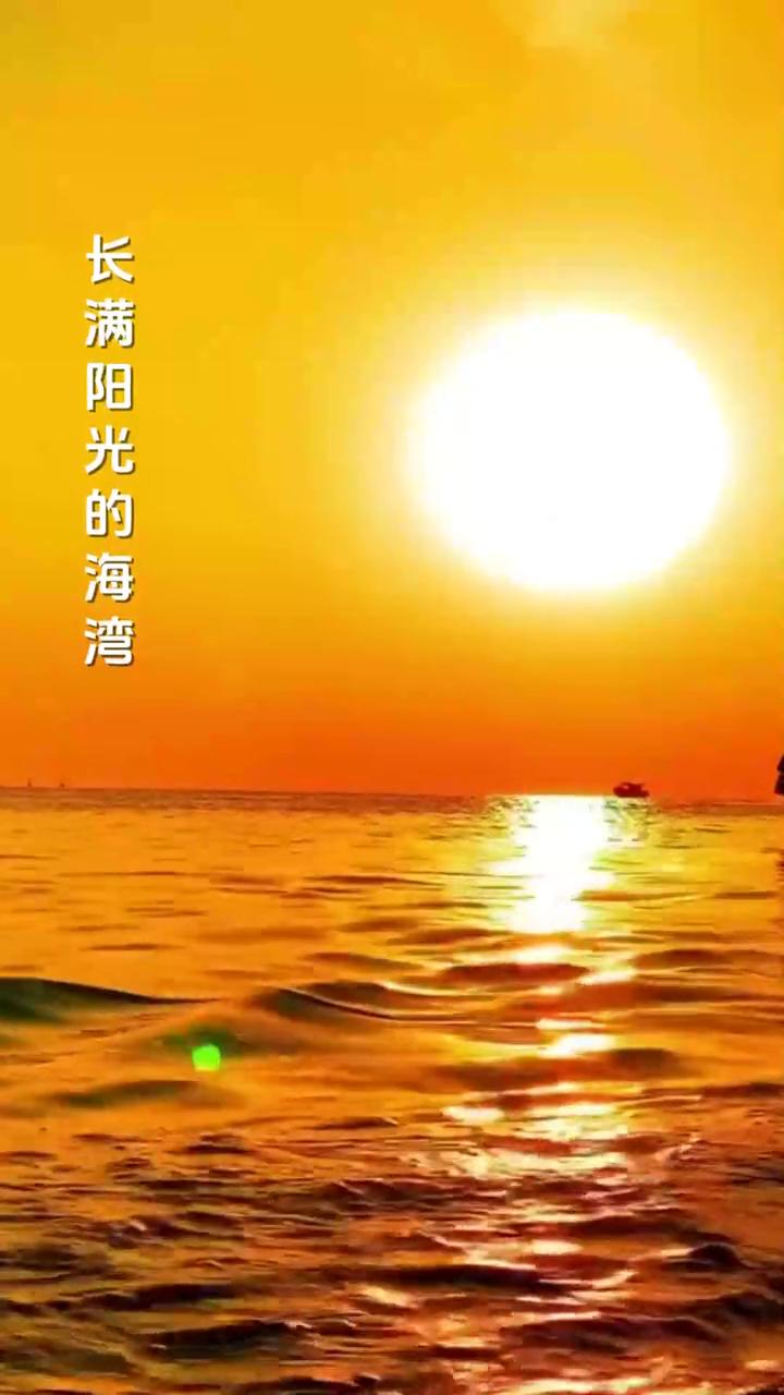 向海而生。
演唱：陈楚生。
制片人：芙蓉传媒。
长满阳光的海湾，摇曳着苍翠树林叫