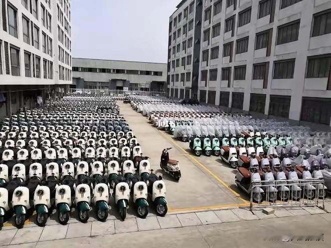 我国这是要堵上稀土永磁体“半走私”的漏洞？

电动车出口要办证了！这招专门盯着那