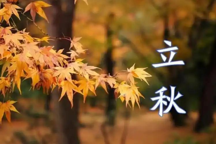 给大家提个醒，
从8月7号晚上19点43分开始，
非必要情况下，千万别在每天18