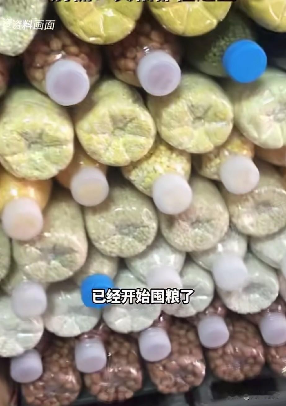 看到有人又开始囤粮了，真是让人哭笑不得，我发现很多人都喜欢制造危机的谣言，然后囤