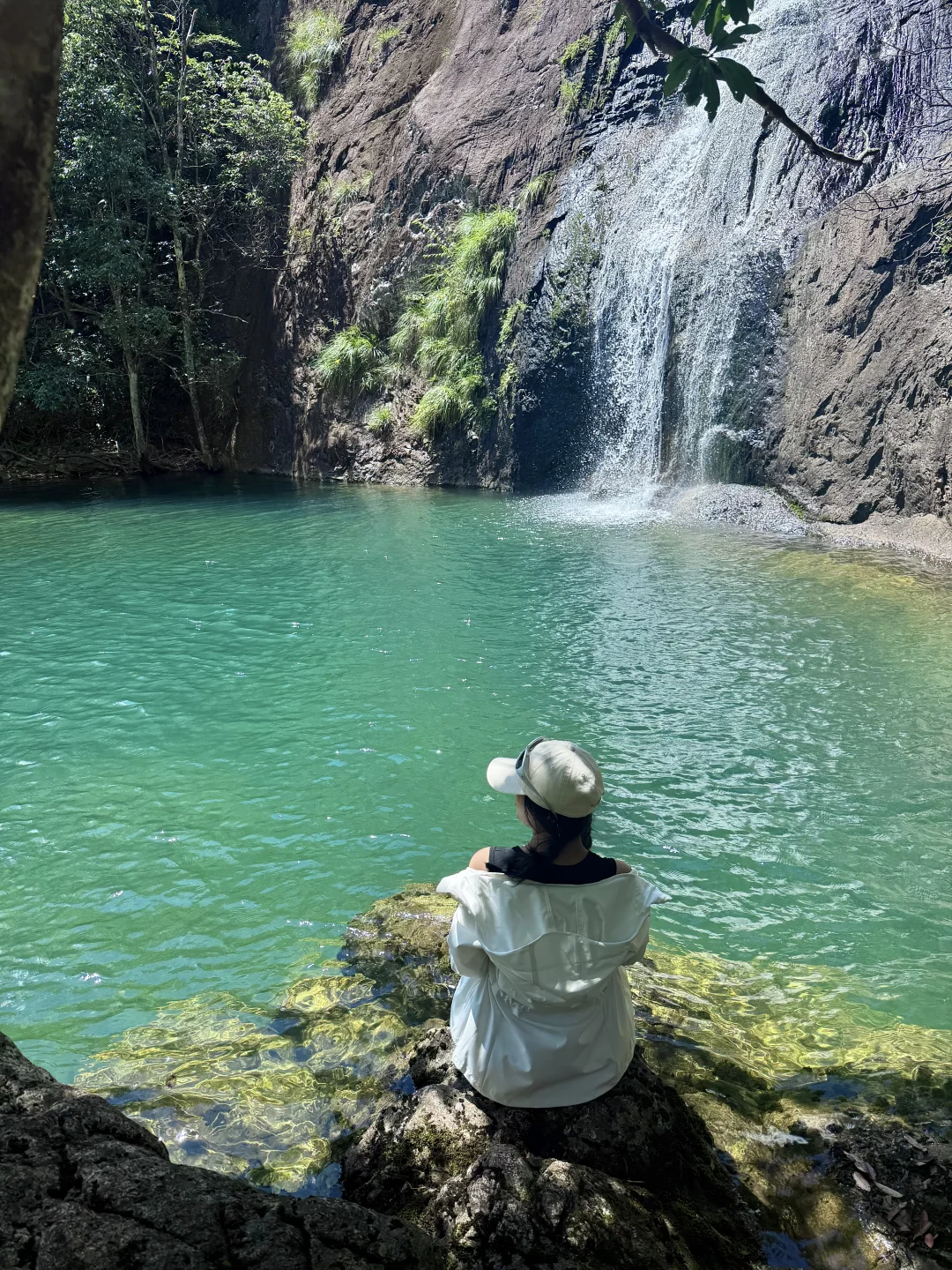 在温州值得去100次❗️4km森林溯溪徒步🌳