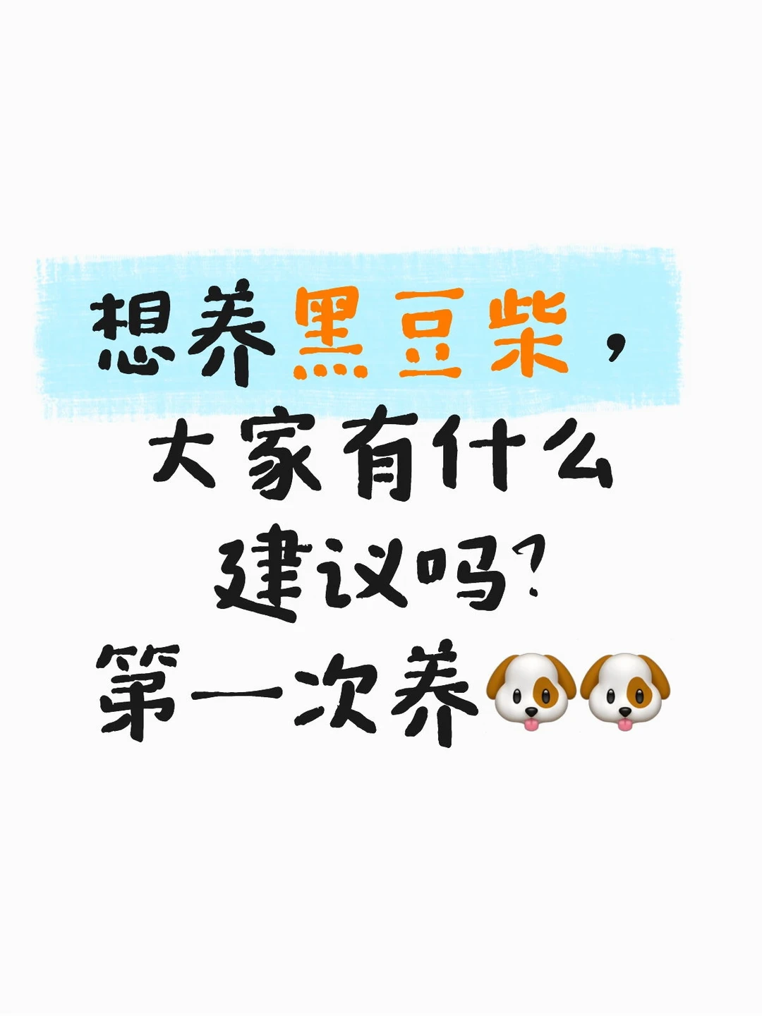 第一次养宠物，个人没什么经验。看了一圈下来，感觉黑豆柴好看好打理，个头...