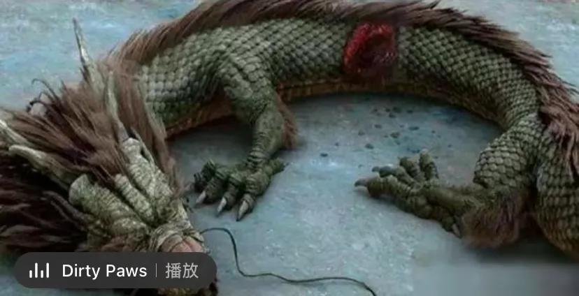 研究龙多年，说说我对龙的研究成果(上)龙…，不属于动物，也不是植物，也不属于人类