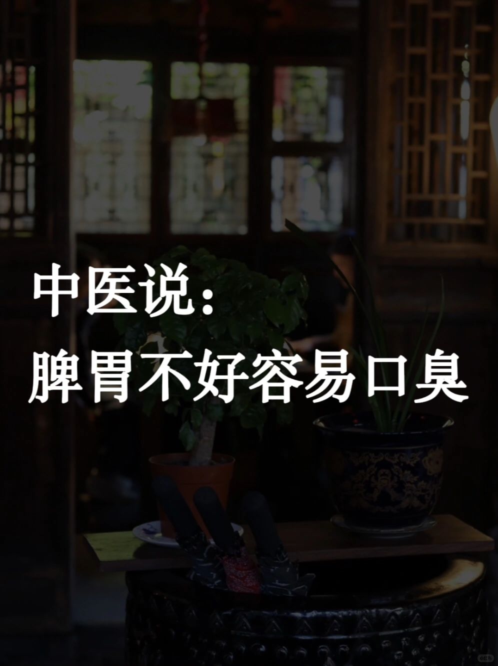 99%的人不知道：脾胃不好容易口臭‼️