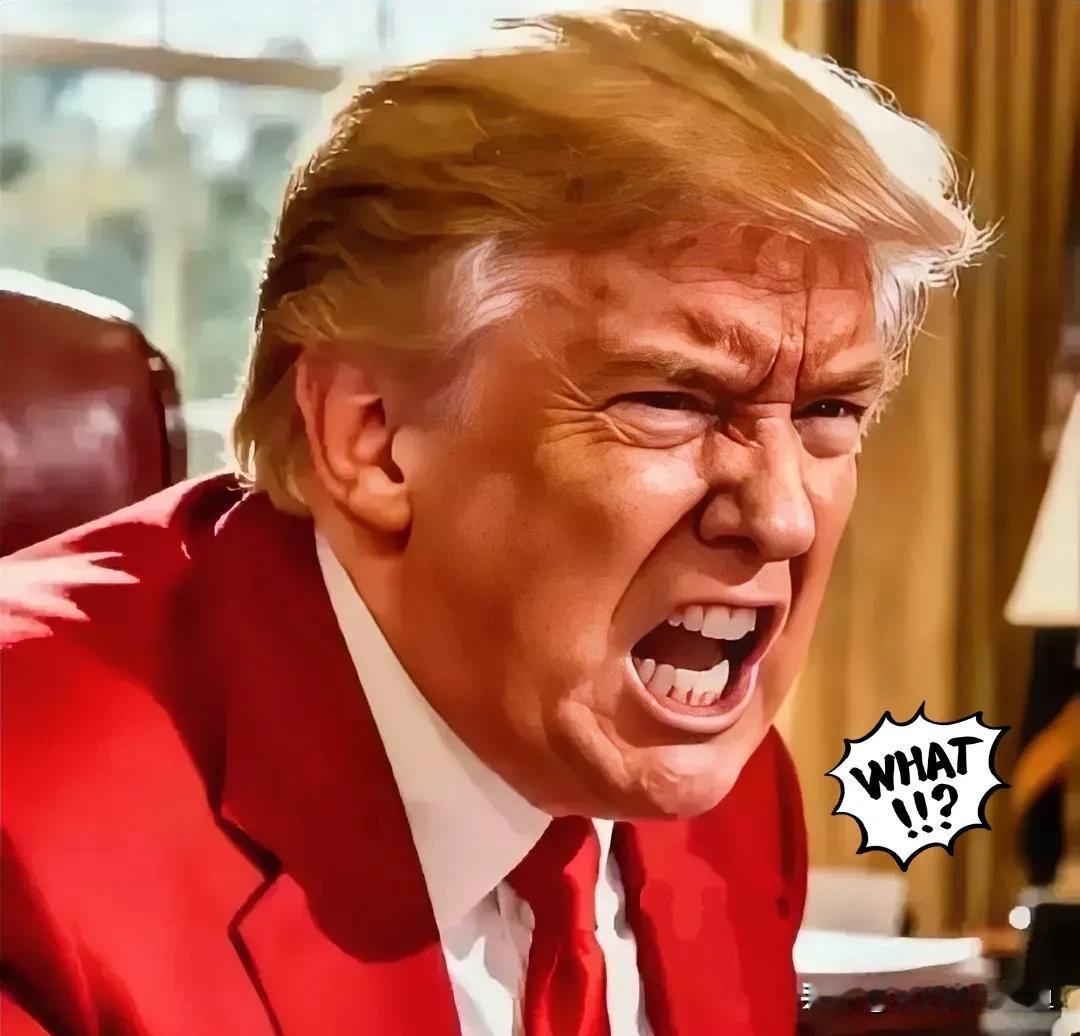 就在刚刚
2025年11月11日，美国国务院最新消息显示，美国联邦政府自10月1