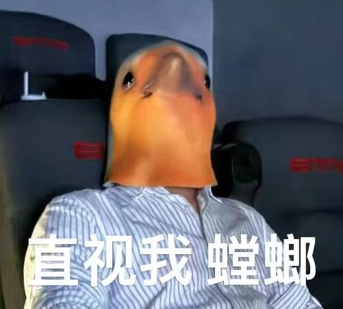 《黄雀在后》陶虹演技还是在线。就是，剧情是不是也太狗血和俗套了？最后一幕亲子抱头