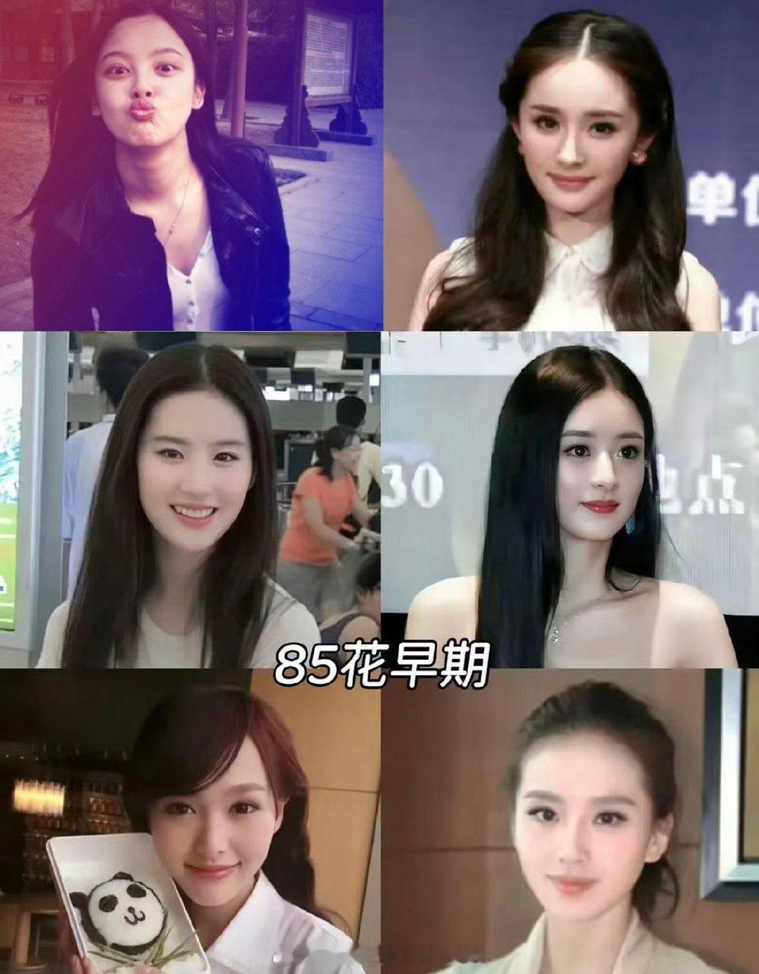85花、90花、95花早期的照片，基本都是更大气了，但是颜值没啥变 