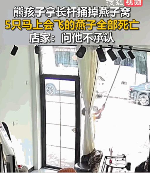 [太阳]天生坏种！7月7日报道，江苏扬州，一家店铺的老板娘不过是外出吃个饭的工夫