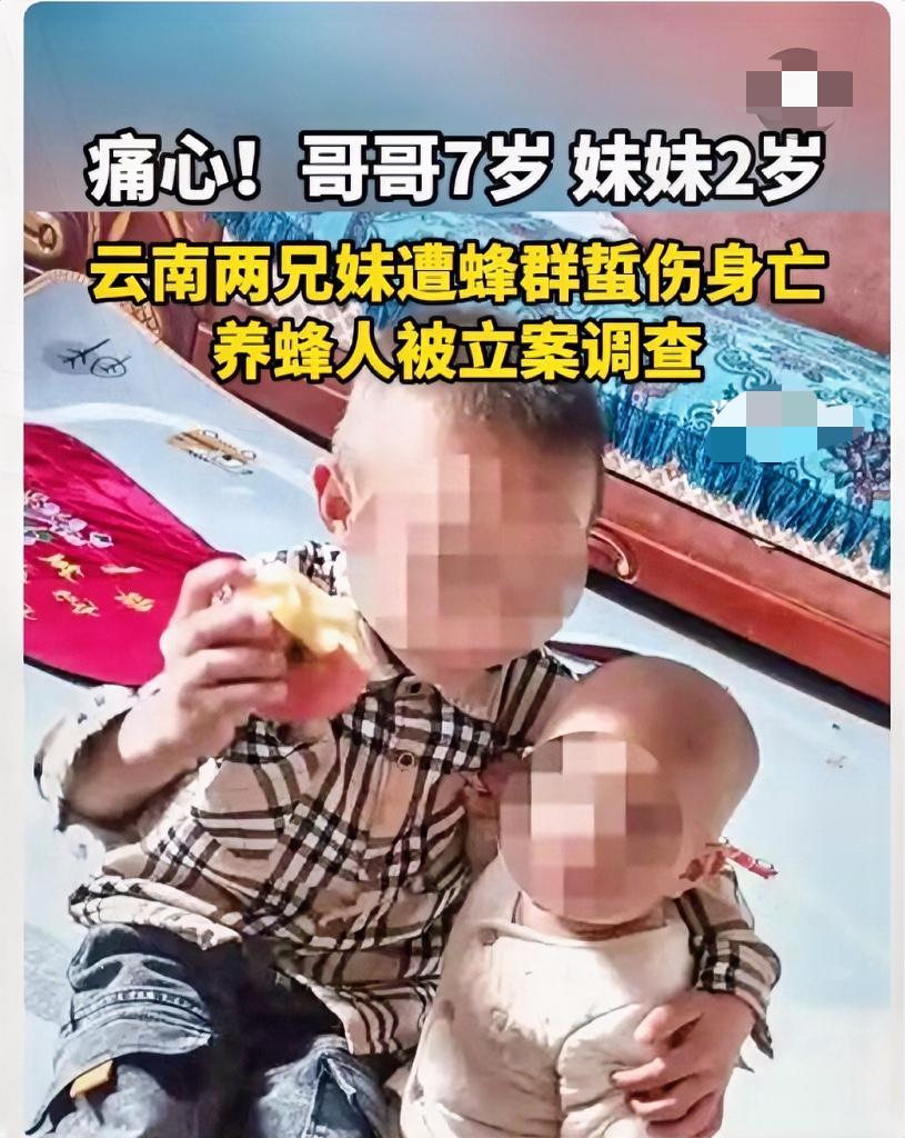 200万赔偿谈崩！

养蜂人赔4万就见底，这账该怎么算？

云南兄妹被马蜂蜇死的