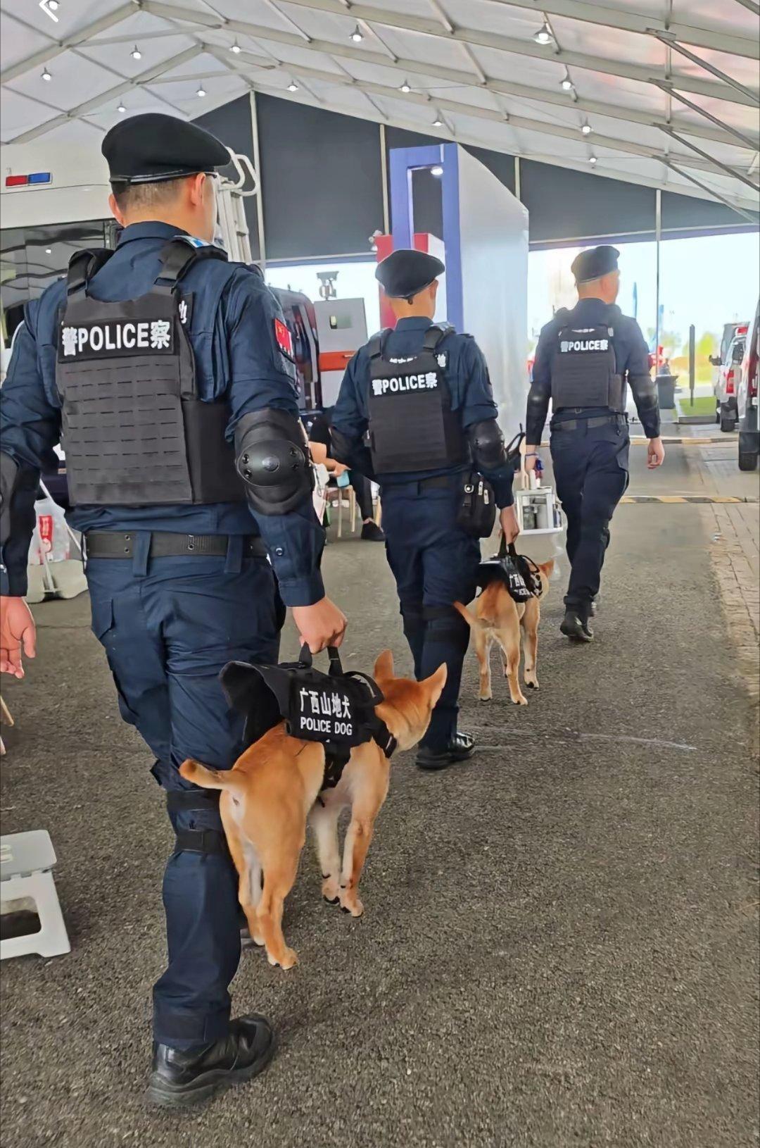 中华田园犬也开始入编了，挺好的，土狗其实特别聪明，又皮实，又忠诚，本来就是最好的