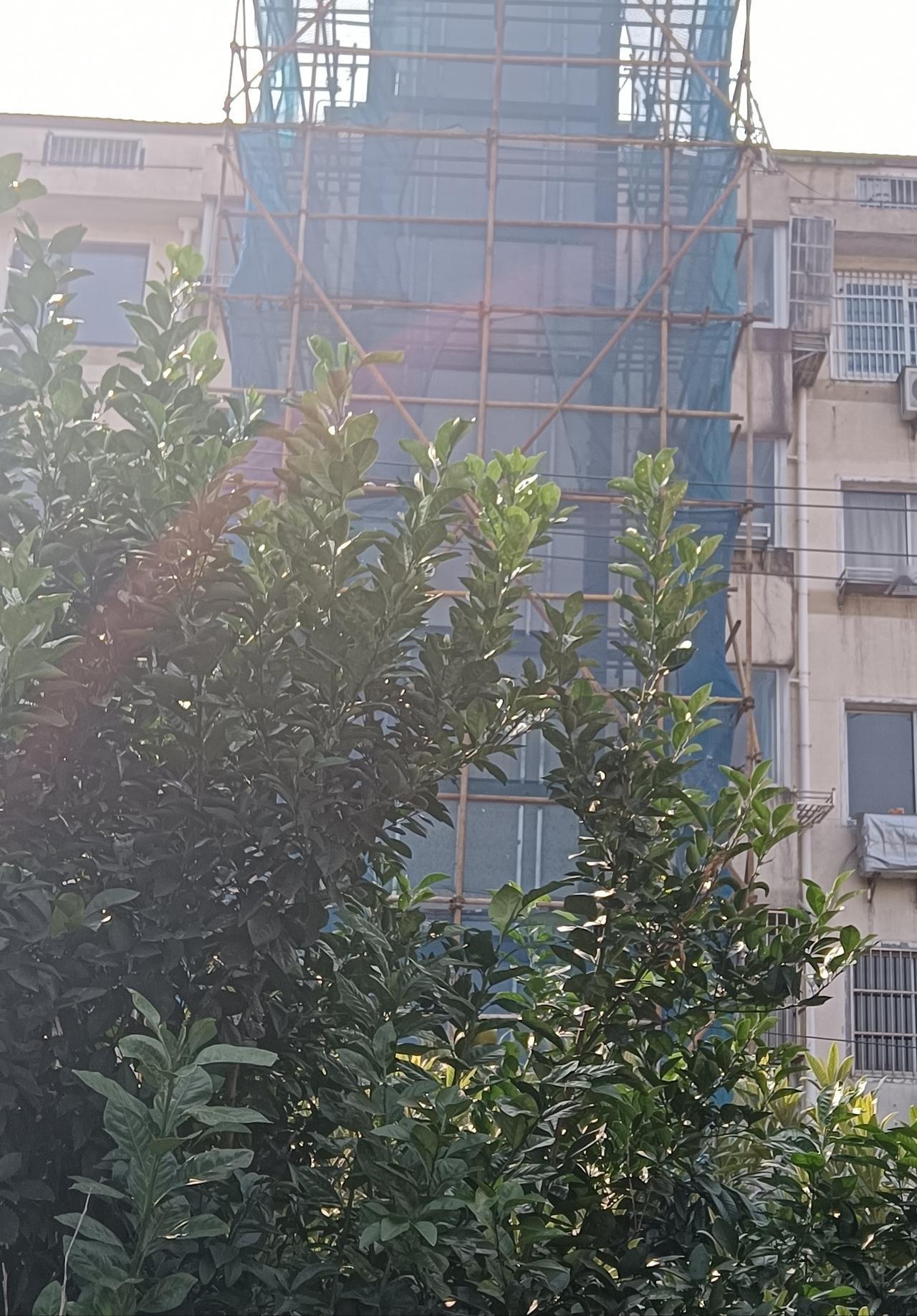 老小区装电梯本是好事，便民利民！但也要考虑到，是否影响到周边居民的生活。
安装电