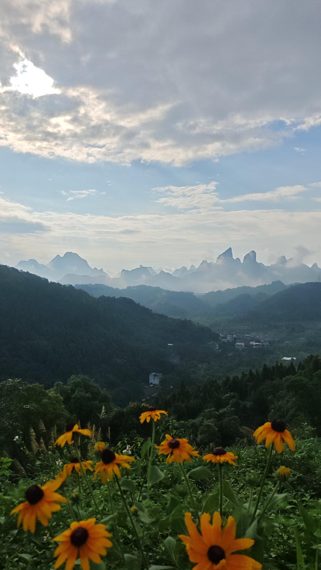 山色连天碧，花开映日红。