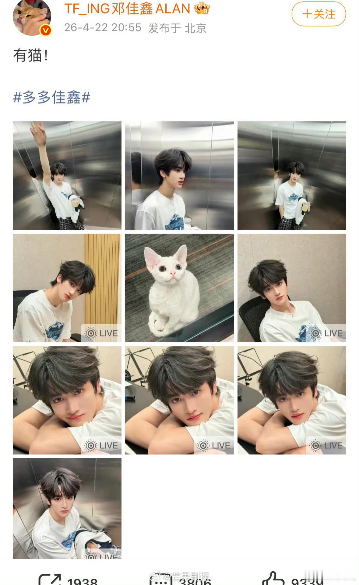 邓佳鑫晒猫邓佳鑫的猫是异瞳 太美啦，咪咪：你也为我着迷吧😍 