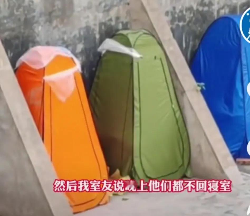 10月9日河南郑州有学生无意间发现寝室后墙边搭的小帐篷，同宿舍舍友说：考研学生晚