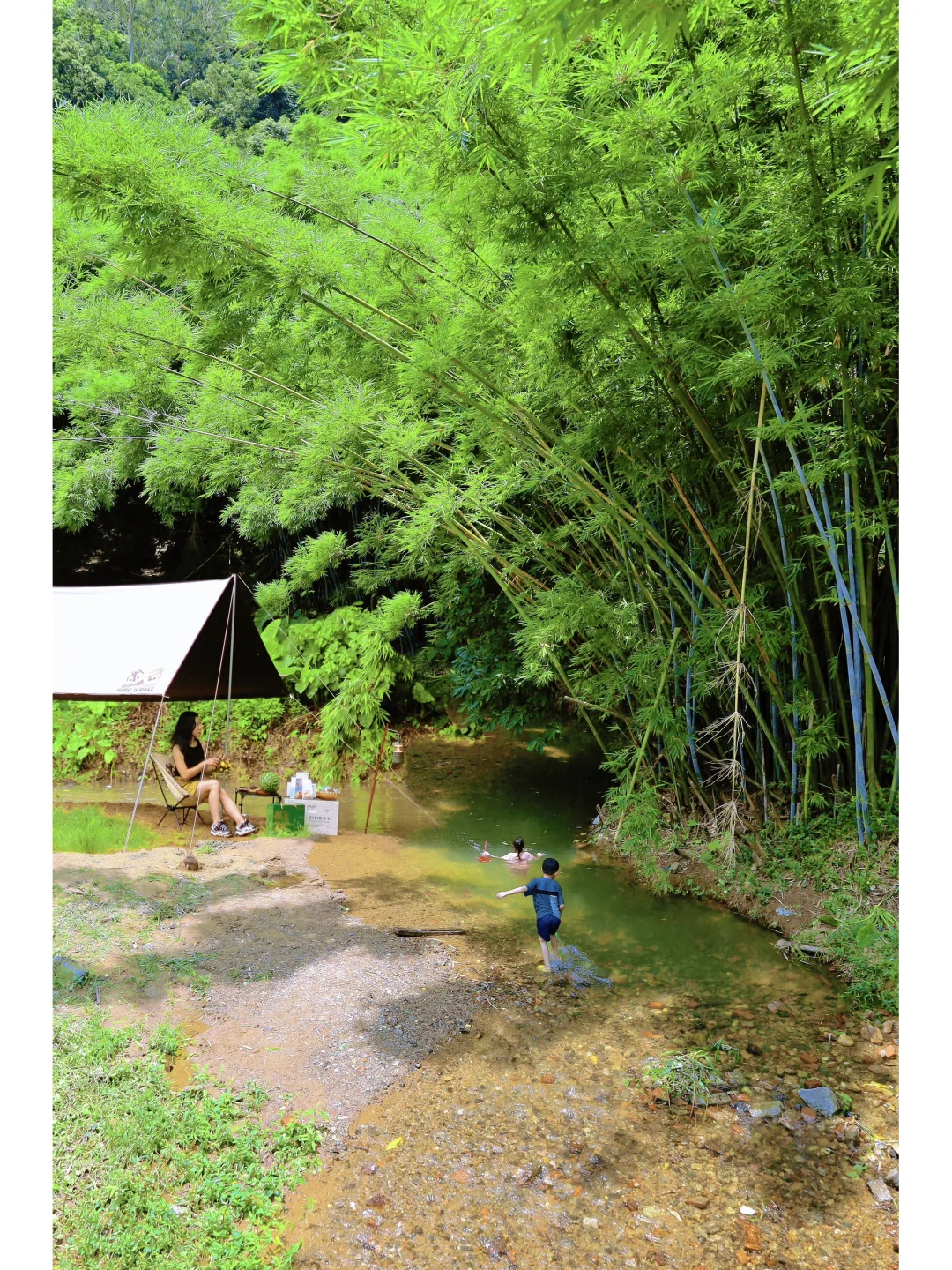 广州避暑｜白云区小众溯溪露营地💦玩水嬉戏
